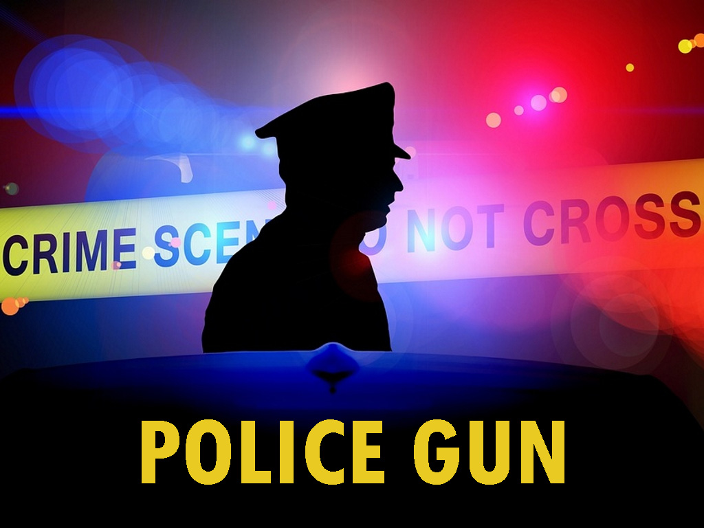 Police Gun v0.13