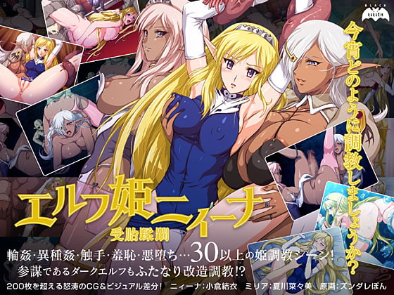 Elf Princess Nina - Conception violation poster