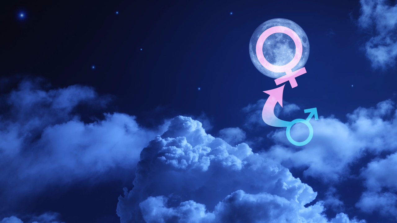 re:Dreamer v0.1.9