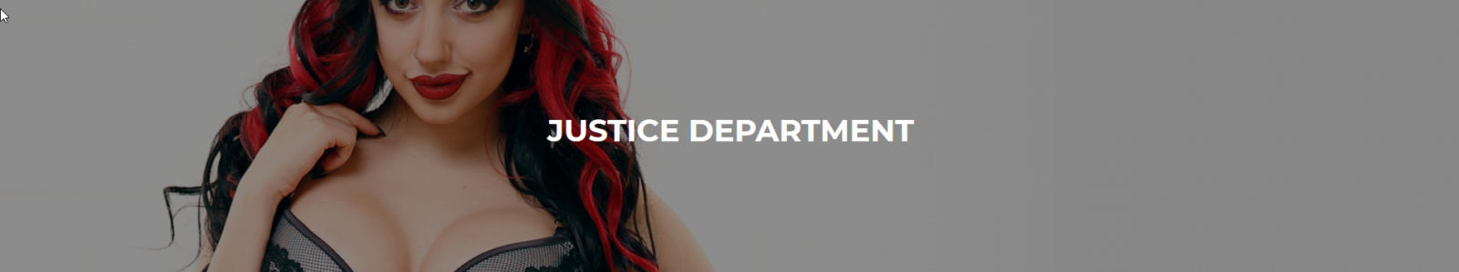 Justice Department v1.2