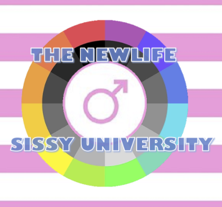 The NewLife Sissy University v0.0.21