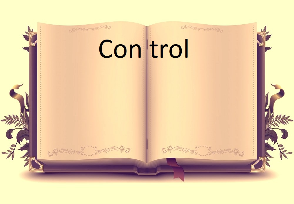 Control v0.1