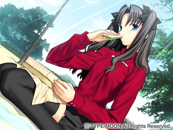 Fate/Stay Night (TYPE-MOON) screenshot 1