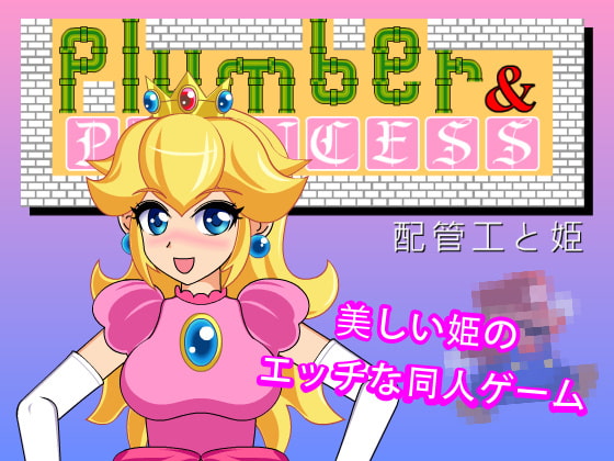 (Super Mario) Plumber & Princess (San Soku Space) poster