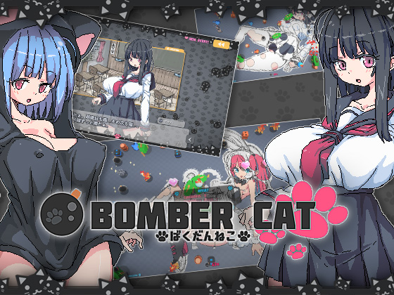 Bomber Cat poster