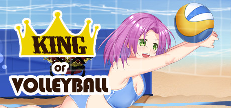 King_of_Volleyball [COMPLETED]