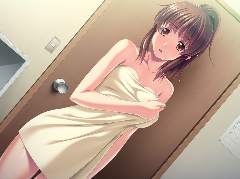 Little Sister Sex  ~If Have to Hand Her Over to Some Guy, Then I Would Rather...!~ [Final] [Appetite] poster