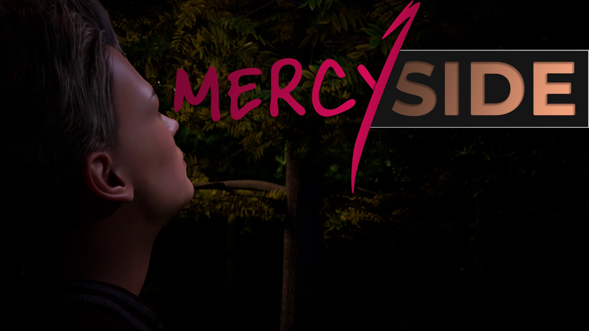 MercySide