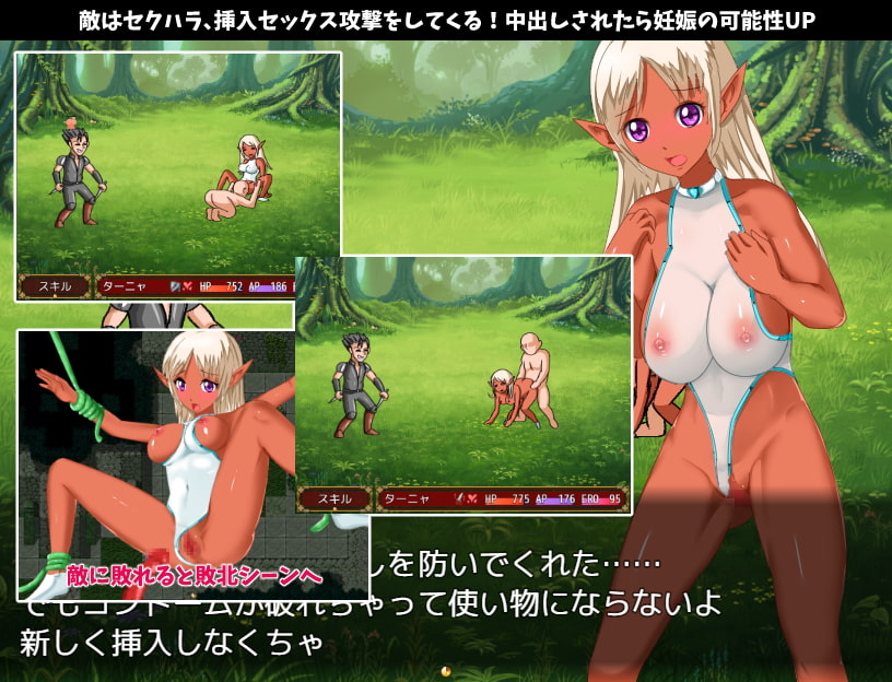 Dark Elf's Adventure poster